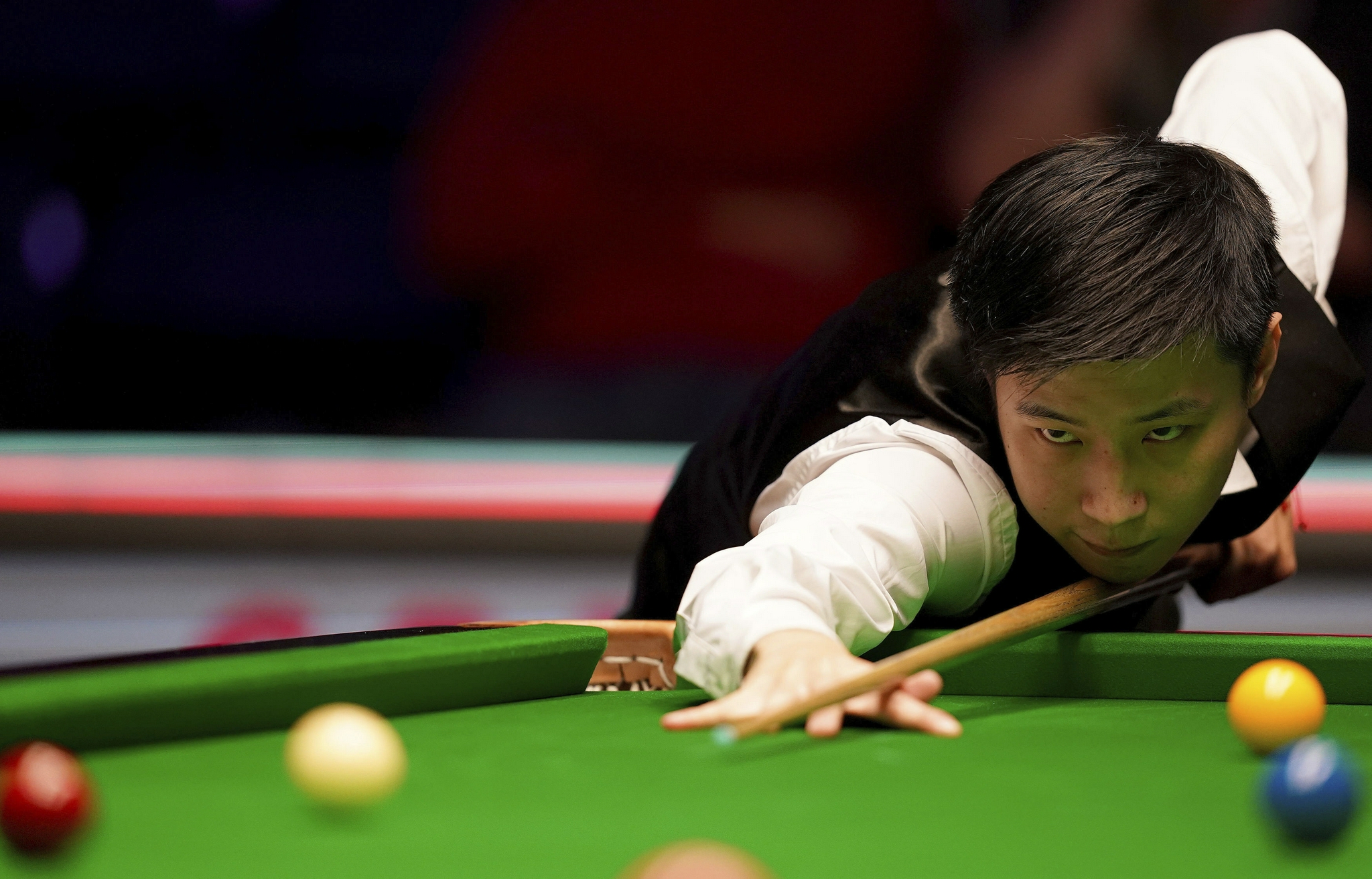 在与灰熊的 在与灰熊的